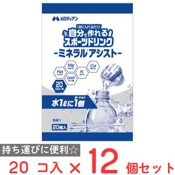 メロディアン 自分で作れるスポーツドリンク1L希釈 9ml×20個入×12個