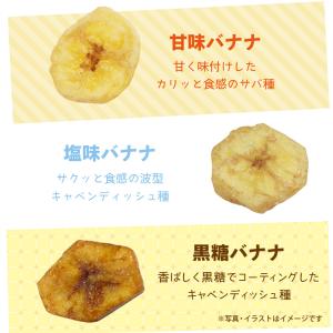 フジサワ 3種のバナナミックス 140gの詳細画像4