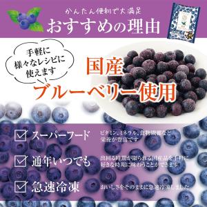 [冷凍] mikata 国産ブルーベリー 100gの詳細画像4