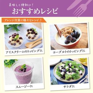 [冷凍] mikata 国産ブルーベリー 100gの詳細画像5