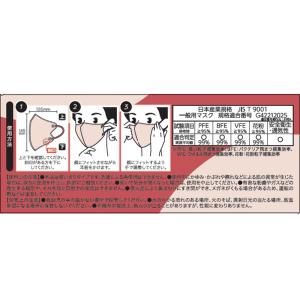 マスク習慣 E-lineマスクふつう ベージュ...の詳細画像3