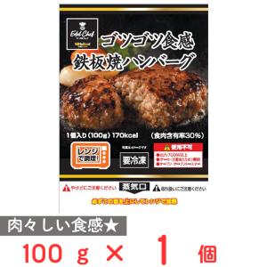 [冷凍] 日東ベスト ECゴツゴツ食感鉄板焼ハンバーグ 100g