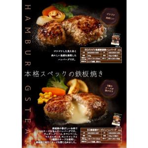 [冷凍] 日東ベスト ECゴツゴツ食感鉄板焼ハ...の詳細画像4
