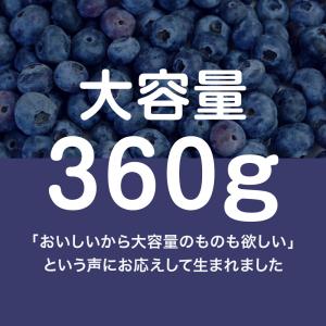 [冷凍] Delcy ブルーベリーもりもりパッ...の詳細画像3