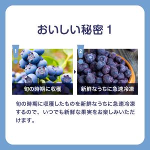 [冷凍] Delcy ブルーベリーもりもりパッ...の詳細画像4
