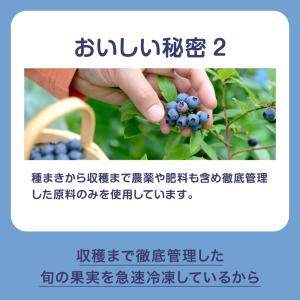 [冷凍] Delcy ブルーベリーもりもりパッ...の詳細画像5