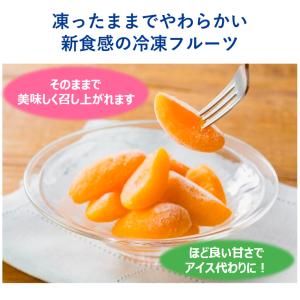 [冷凍] アヲハタ くちどけフローズン アプリ...の詳細画像3