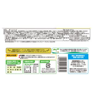 [冷凍] テーブルマーク チーズinハンバーグ...の詳細画像2