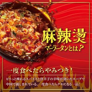 医食同源ドットコム 麻辣湯 88g×3個の詳細画像4