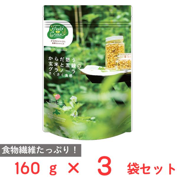 日食 Feel&amp;Green からだ想う 玄米と五穀のグラノーラ さくさく食感 160g×3袋
