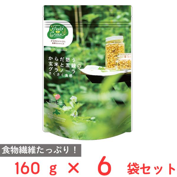訳あり20％OFF 日食 Feel&amp;Green からだ想う 玄米と五穀のグラノーラ さくさく食感 1...