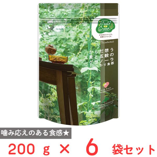 日食 Feel&amp;Green からだ想う 大麦と五穀のグラノーラ しっかり食感 200g×6袋