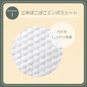 RICO プレミアムおしりふき70枚入り×12個の詳細画像3