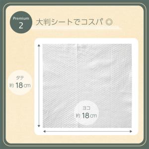 RICO プレミアムおしりふき70枚入り×12個の詳細画像4