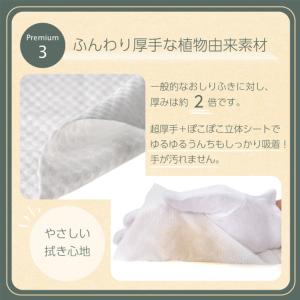 RICO プレミアムおしりふき70枚入り×12個の詳細画像5