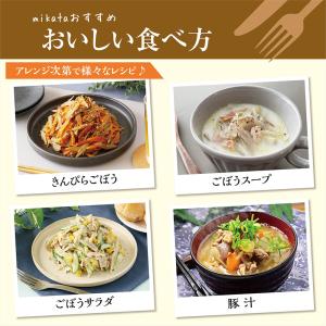 [冷凍] ニチノウ 宮崎県産ささがきごぼう 150gの詳細画像5