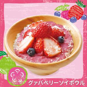 [冷凍] フルッタフルッタ 冷凍パルプ グァバ...の詳細画像5