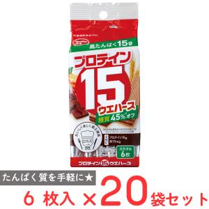 爆買 ハマダコンフェクト プロテイン15ウエハース（カカオ味) 6枚×20袋｜Smile Spoon