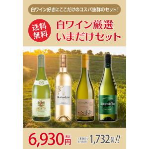 [酒類]白ワイン 飲み比べ セット 4本｜smilespoon