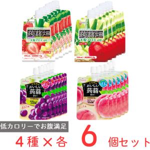 マンナンライフXたらみ 蒟蒻ゼリー150g 各6個X4フレーバー計24個セット クラッシュタイプの蒟蒻畑（りんご味・いちご味） おいしい蒟蒻ゼリー（ぶどう・もも）｜smilespoon