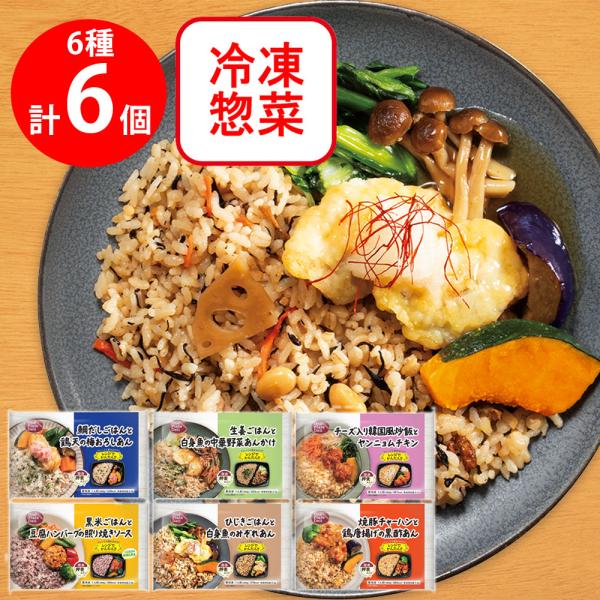 [冷凍] ワンプレートデリ ワンプレート6種×各1 計6個 冷凍弁当 主食おかずセット