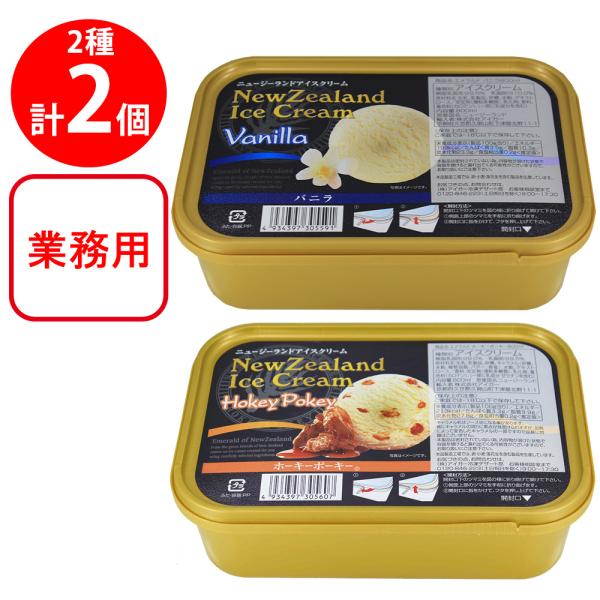 [アイス] エメラルド 業務用 800ml  2種×1個（バニラ・キャラメル） パーティー 学祭 夏...