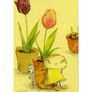 mm-009s まちゅまゆ ポストカード 絵葉書　★メルヘン　【チューリップ】【追跡可能メール便可】