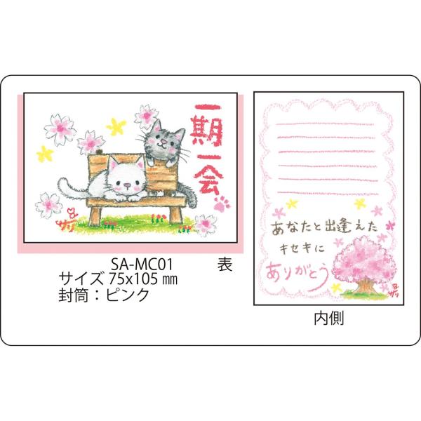 SA-MC01 サリー メッセージカード　【ネコポス可】