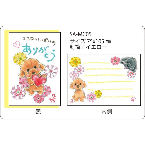 SA-MC05 サリー メッセージカード　【ネコポス可】