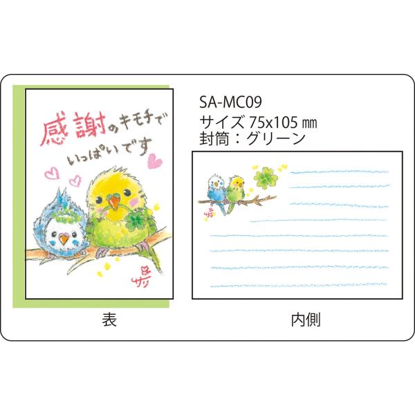 SA-MC09 サリー メッセージカード　【ネコポス可】