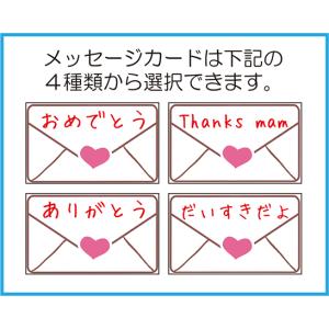 sf-23 ソープフラワー 石鹸のお花 カーネ...の詳細画像1