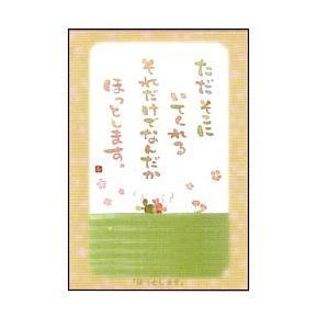 SN-071 澤田直見　ポストカード　ほっとします【追跡可能メール便可】