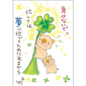SSA-48 絵描きサリー 絵はがき ポストカード 100色のクレヨン作家 動物イラスト メッセージアート 絵葉書 【追跡可能メール便可】