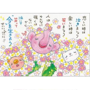 SSA-55 絵描きサリー 絵はがき ポストカード 100色のクレヨン作家 動物イラスト メッセージアート 絵葉書 【追跡可能メール便可】