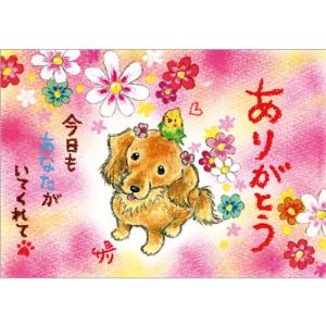 SSA-57 絵描きサリー 絵はがき ポストカード 100色のクレヨン作家 動物イラスト メッセージアート 絵葉書 【追跡可能メール便可】