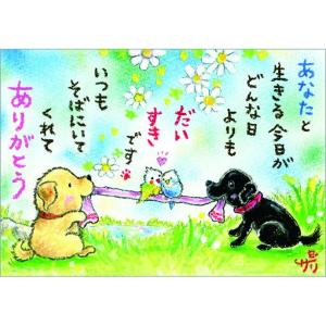 SSA-58 絵描きサリー 絵はがき ポストカード 100色のクレヨン作家 動物イラスト メッセージアート 絵葉書 【追跡可能メール便可】