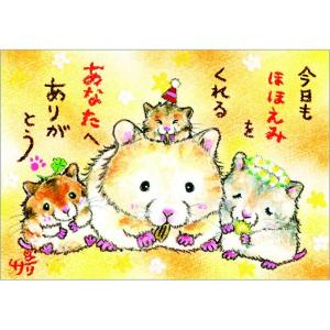 SSA-59 絵描きサリー 絵はがき ポストカード 100色のクレヨン作家 動物イラスト メッセージアート 絵葉書【追跡可能メール便可】
