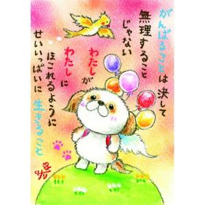 SSA-70 絵描きサリー 絵はがき ポストカード 100色のクレヨン作家 動物イラスト メッセージアート 絵葉書 【追跡可能メール便可】