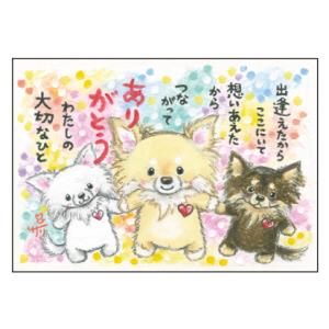 SSA-74 絵描きサリー 絵はがき ポストカード 100色のクレヨン作家 動物イラスト メッセージアート 絵葉書 【追跡可能メール便可】