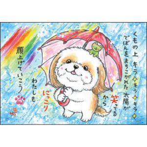 SSA-92 絵描きサリー 絵はがき ポストカード 100色のクレヨン作家 動物イラスト メッセージアート 絵葉書【追跡可能メール便可】