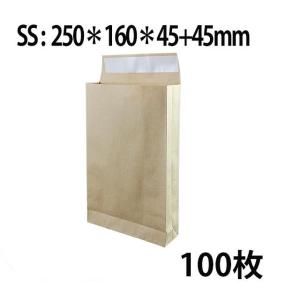 梱包袋 宅配袋 100枚入  SSサイズ  250*160*45角底袋 紙袋