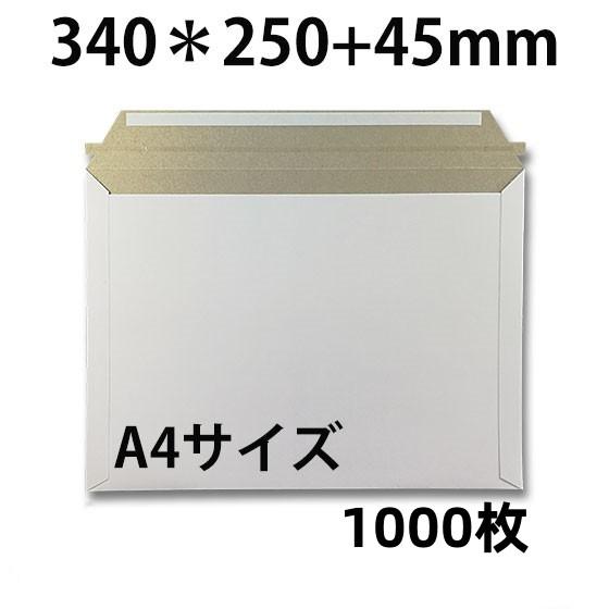 ビジネスレターケース A4サイズ 1000枚 EMS-A4  ビジネス 配達パック　郵便 郵送用 配...