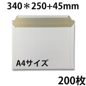 ビジネスレターケース A4サイズ 200枚　EMS-A4  開封ジッパー付き クリックポスト・ゆうパケット角2厚紙封筒