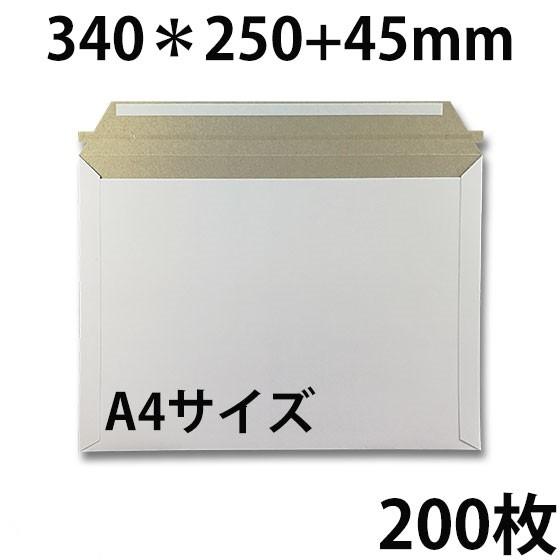 ビジネスレターケース A4サイズ 200枚　EMS-A4  開封ジッパー付き クリックポスト・ゆうパ...