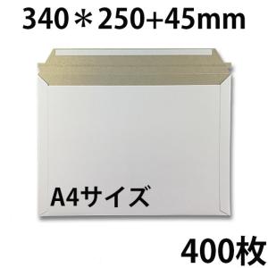 ビジネスレターケース A4サイズ 100枚 EMS-A4 ビジネス 郵便 郵送用