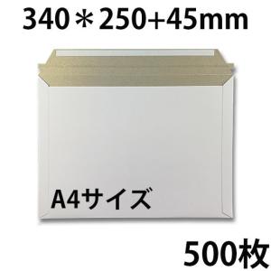 ビジネスレターケース A4サイズ 100枚 EMS-A4 | ビジネス 郵便 郵送用
