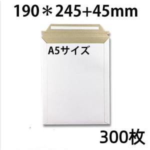 厚紙封筒 ビジネスレターケース A5対応 300...の商品画像