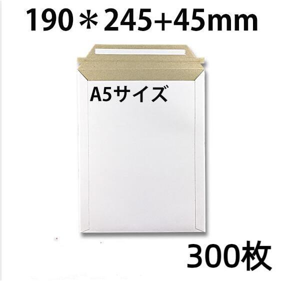 厚紙封筒 ビジネスレターケース A5対応 300枚入 【EMS-A5】 (高24.5CM 幅19CM...
