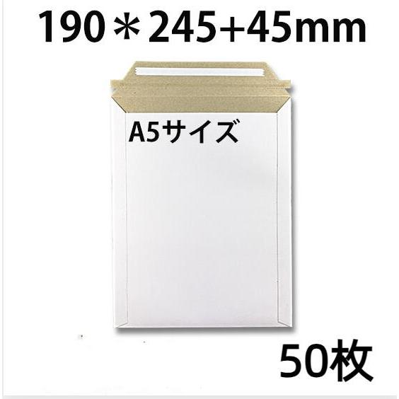 厚紙封筒 ビジネスレターケース A5対応 50枚入 【EMS-A5】 (高24.5CM 幅19CM)...