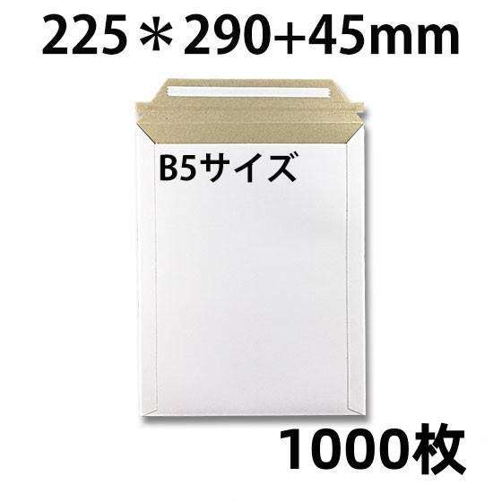 厚紙封筒 ビジネスレターケース B5対応 1000枚入 【EMS-B5】 (高29CM 幅22.5C...